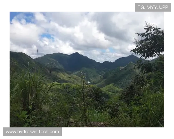 天搏体育投注策略与技巧分享，提升你的体育竞猜胜率与盈利能力